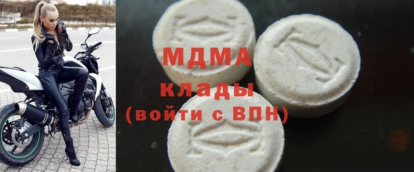 хмурый Пересвет