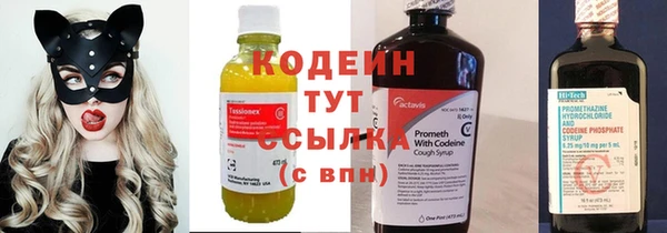 дживик Новоузенск