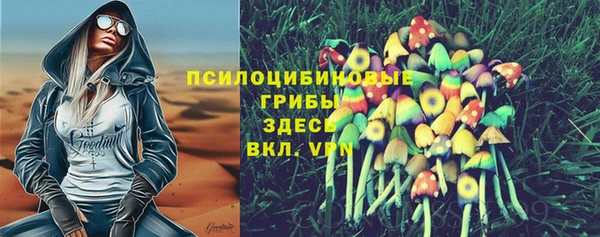 твердый Покров