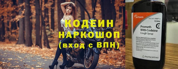 индика Новоульяновск