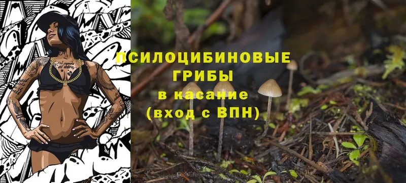 Галлюциногенные грибы Magic Shrooms  ОМГ ОМГ зеркало  Советский  цена  