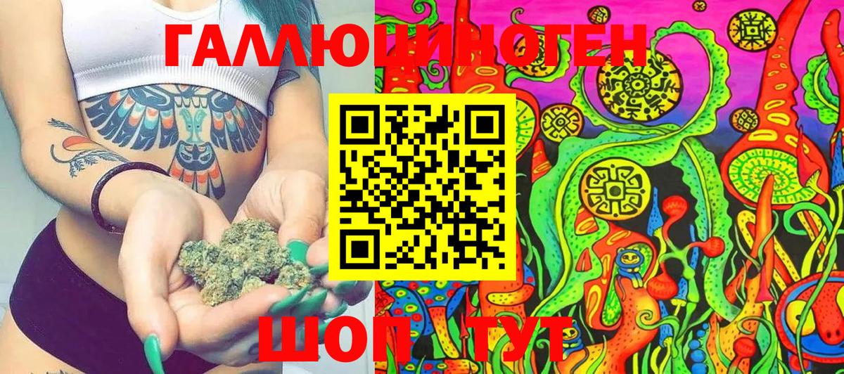 Псилоцибиновые грибы Psilocybe Советский