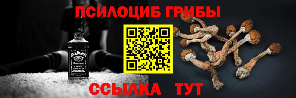 Советский  Галлюциногенные грибы Psilocybe  Вход с VPN  Псилоцибиновые грибы мухоморы 